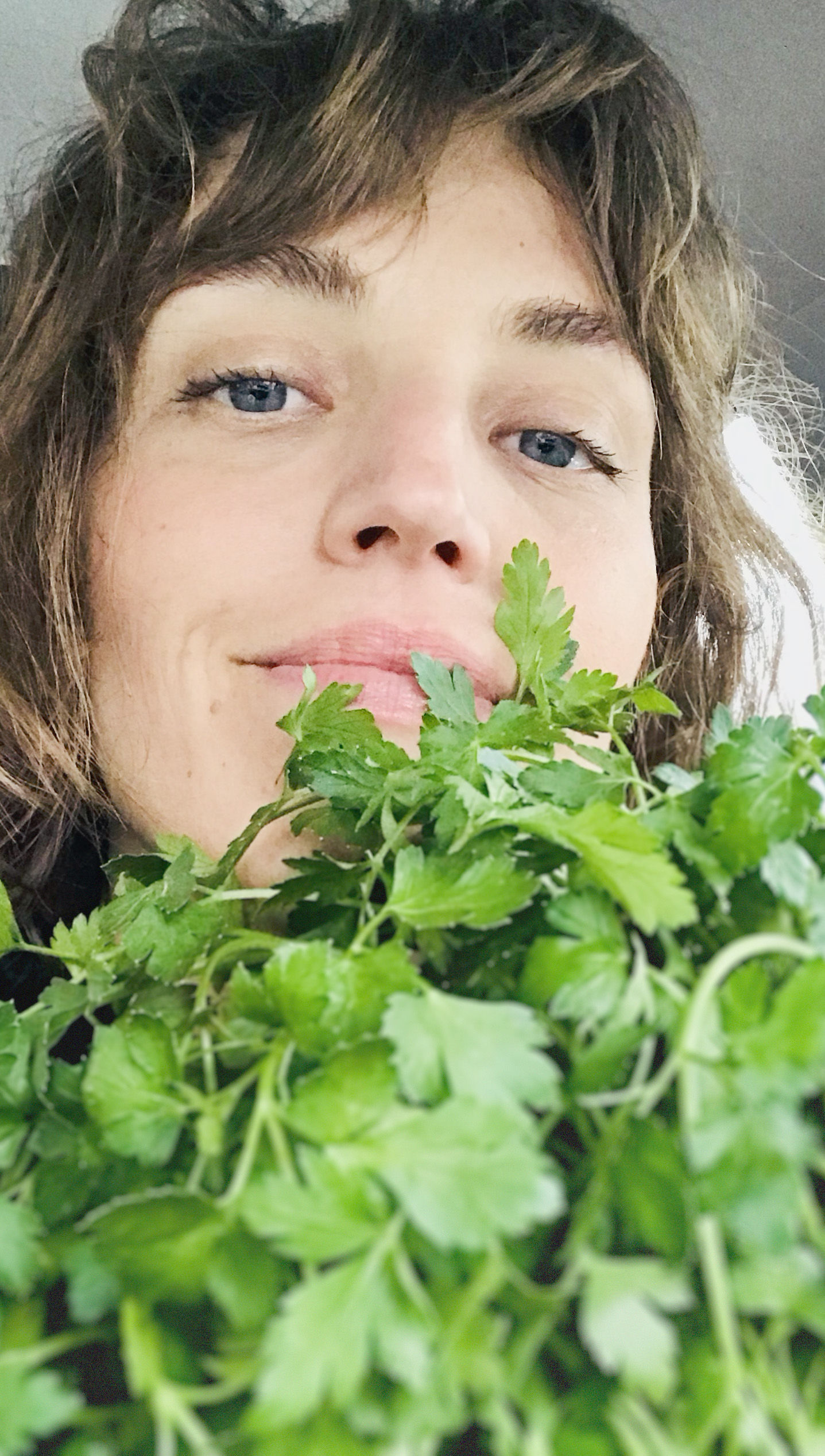  Carina Zimmermann ( www.canari.de ) kochte und buk (korrekte Vergangenheitsform von "backen") bereits für verschiedene Frankfurter Design-Agenturen und entwickelte mit den Jahren ihren ganz eigenen Stil: Außergewöhnliche Gerichte, in denen saisonale und regionale Gemüsesorten die Hauptrolle spielen; immer vegetarisch und  oft unbemerkt vegan. Doch das Besondere an Canaris Kochkunst besteht darin, dass sie bei der Zubereitung ihr umfangreiches Wissen der chinesischen Ernährungslehre mit einfließen lässt. Das könnte man auch als „therapeutisches Essen“ bezeichnen, da es das 2000 Jahre alte Wissen der traditionellen chinesischen Medizin (TCM) beinhaltet und gezielt auf die Stärkung der Abwehrkräfte und den Einklang von Körper und Seele wirkt.  