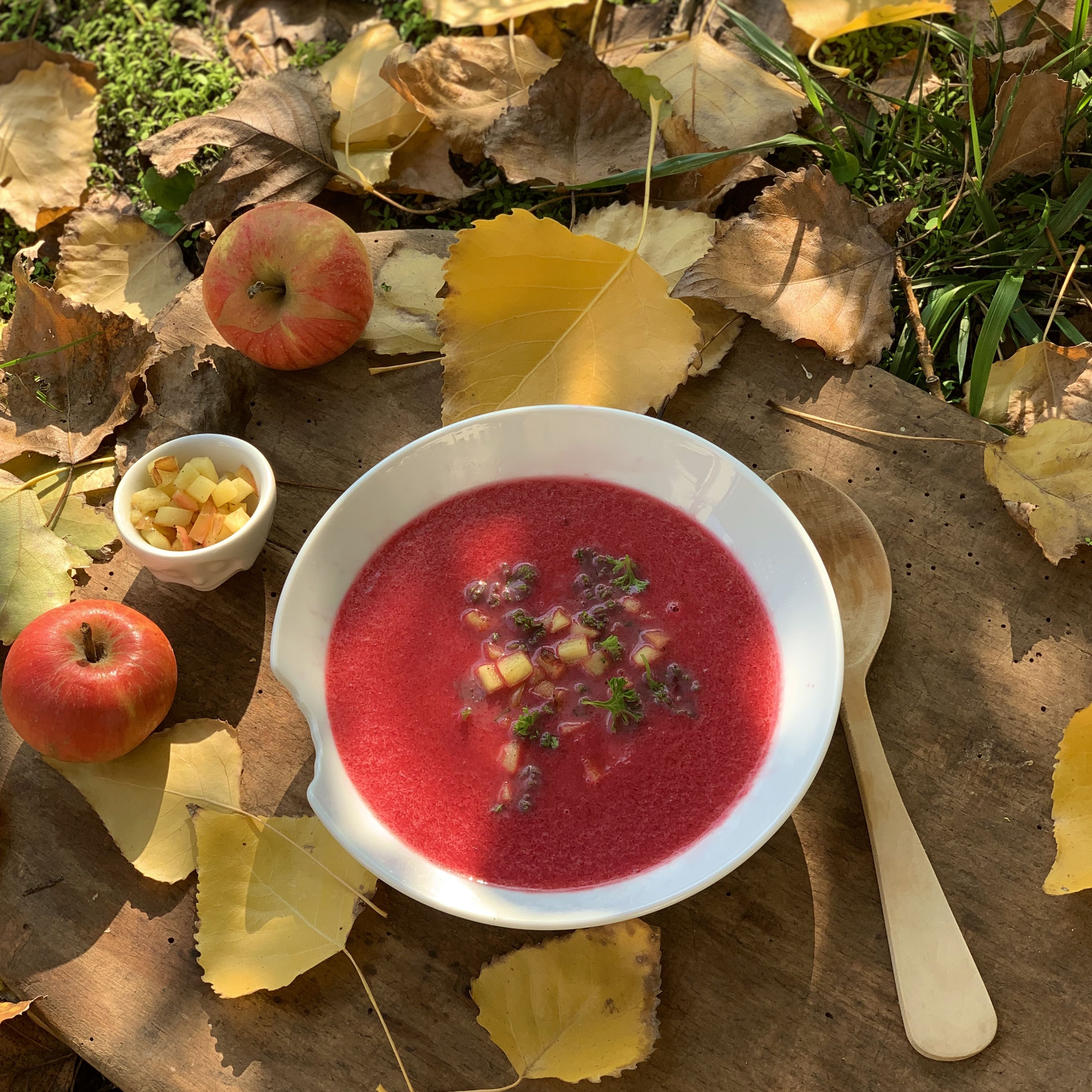  Rote Beete rules: erste Berichte über ihre Heilwirkungen hat Hippokrates schon vor 2500 Jahren verfasst und im Mittelalter wurde sie als Mittel gegen Blutkrankheiten angesehen.  Noch vor hundert Jahren wurde sie von Ärzten bei Schwächezuständen verordnet - kein Wunder, Rote Beete ist außerordentlich nahrhaft und steckt voller Vitamine und sekundärer Pflanzenstoffe, denen vor allem eine wichtige Rolle in der vorbeugenden Wirkung gegen Krebs zugeschrieben wird.  